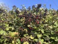 IMG_83551
